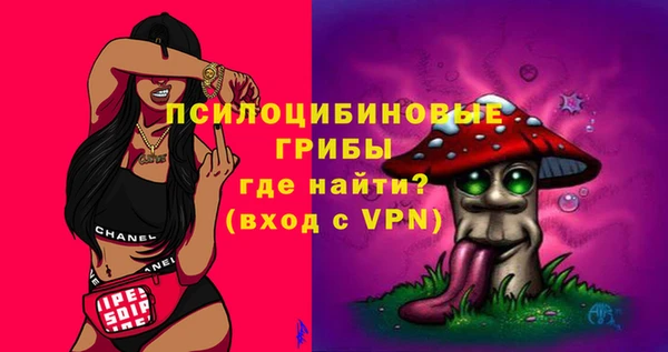ГАЛЛЮЦИНОГЕННЫЕ ГРИБЫ Кулебаки