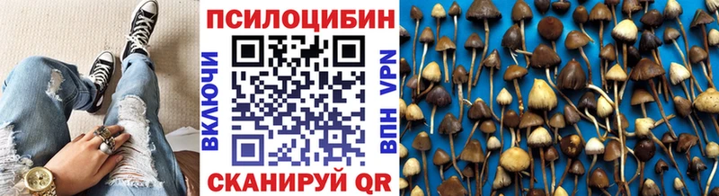 Галлюциногенные грибы MAGIC MUSHROOMS  Тогучин 